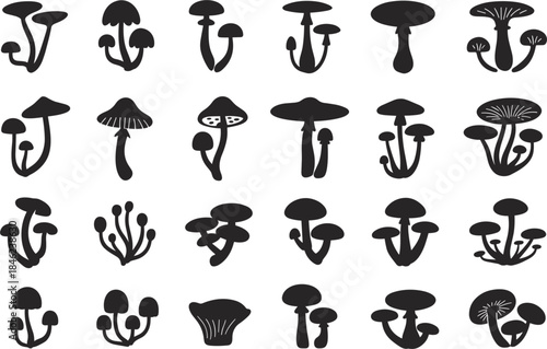 Collection of black silhouette mushroom shapes on a white background fungi toadstool