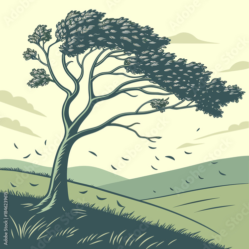 Tree on a windy hillside with leaves blowing away grass 1