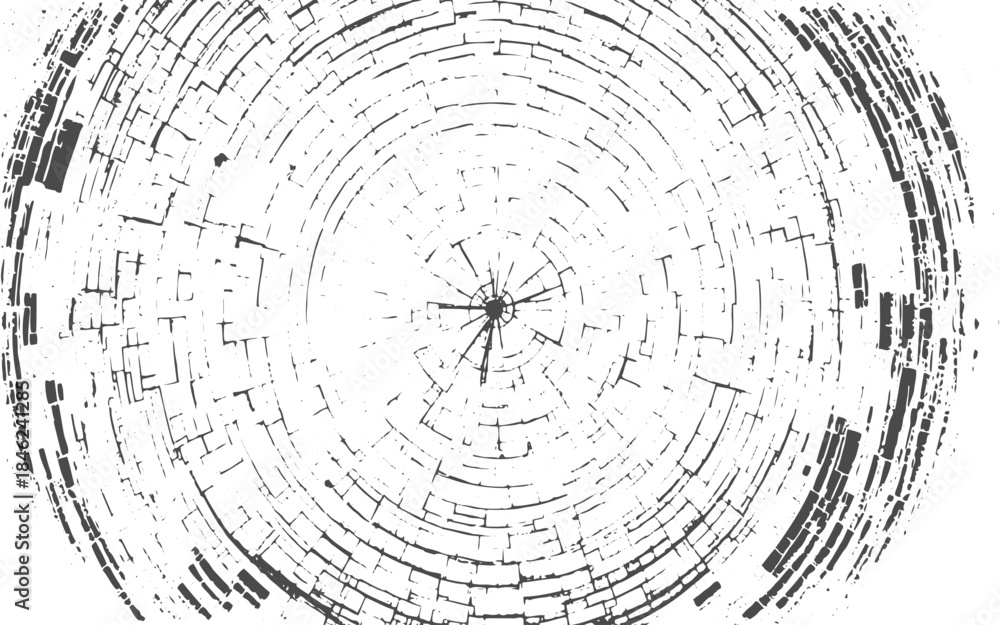Obraz premium Organic Tree Trunk Cross Section Grunge Texture with Wood Rings, Cracks and Natural Growth Pattern.