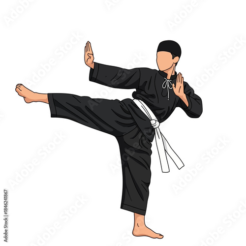 Dynamic vector illustration of a martial artist executing a powerful high kick, showcasing agility and discipline in a combat sport training pose