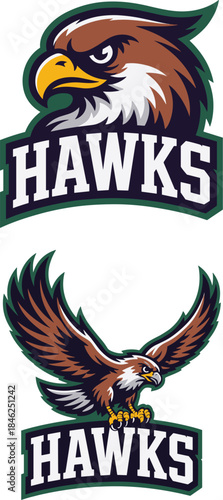 Dynamic professional sports team logo featuring fierce eagle mascot with detailed feathers and intense expression in modern emblem style suitable for branding, merchandise, marketing, fan apparel, spo