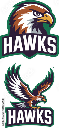 Dynamic sports team logo featuring fierce eagle mascot with bold typography and vibrant colors, ideal for athletic branding, merchandise, sports apparel, team uniforms, school sports programs, and log