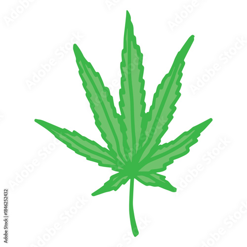 Hand drawn cannabis leaf Medicine marijuana Hemp leaves clipart in doodle style Single element for print, web, design, decor