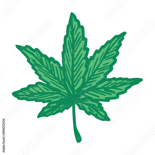 Hand drawn cannabis leaf Medicine marijuana Hemp leaves clipart in doodle style Single element for print, web, design, decor
