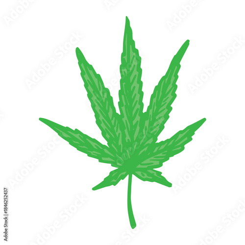 Hand drawn cannabis leaf Medicine marijuana Hemp leaves clipart in doodle style Single element for print, web, design, decor