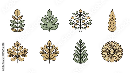 Collection of Decorative Botanical Elements and Abstract Floral Designs in Earthy Tones