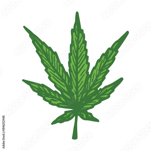 Hand drawn cannabis leaf Medicine marijuana Hemp leaves clipart in doodle style Single element for print, web, design, decor