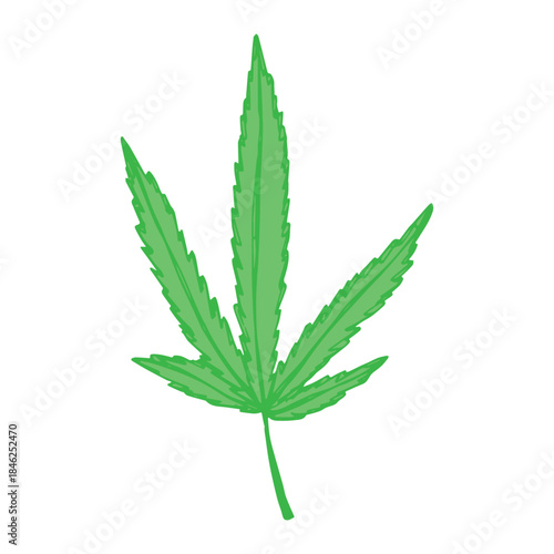 Hand drawn cannabis leaf Medicine marijuana Hemp leaves clipart in doodle style Single element for print, web, design, decor