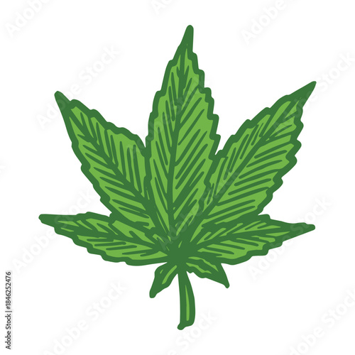 Hand drawn cannabis leaf Medicine marijuana Hemp leaves clipart in doodle style Single element for print, web, design, decor