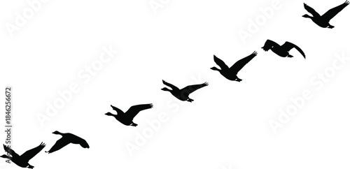 Flying bird silhouettes in formation against white background, symbolizing freedom, migration, teamwork, nature movement, and minimalist wildlife design concept