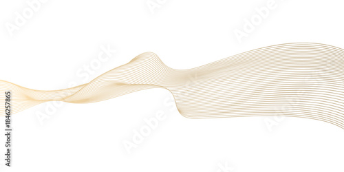 Abstract vector wavy lines flowing smooth curve gold gradient color on transparent background in concept of luxury, technology, science, music, modern.