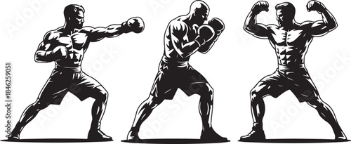 Boxer in action poses isolated on transparent background
