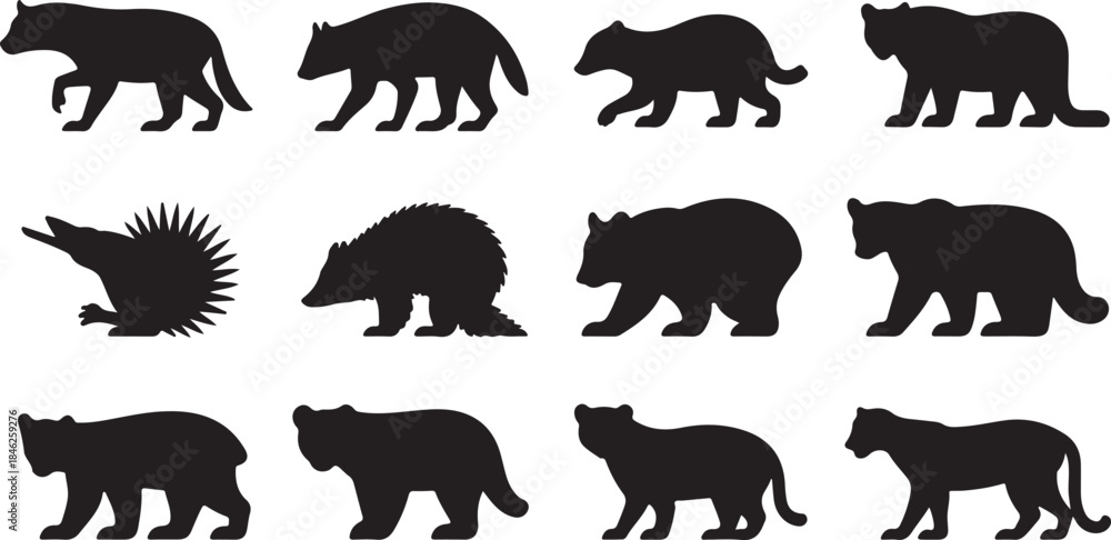 Obraz premium Collection of Animal Silhouettes Including Bears and Hedgehogs