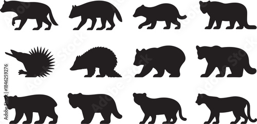 Collection of Animal Silhouettes Including Bears and Hedgehogs