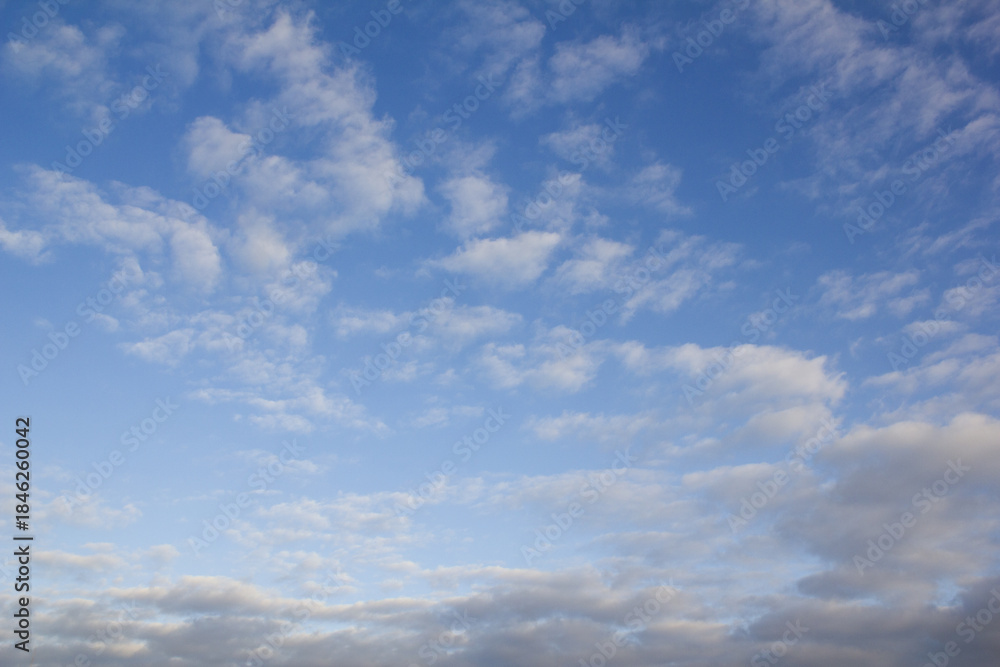 Fototapeta premium The sky is covered with fluffy clouds