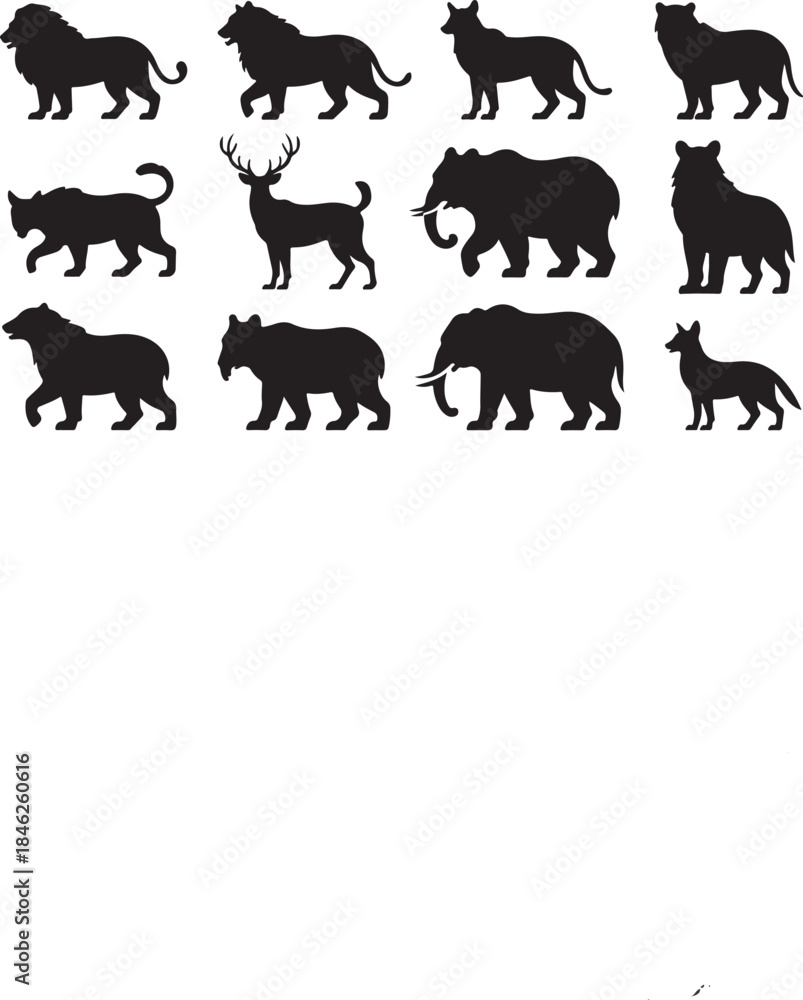 Obraz premium Collection of Wild Animal Silhouettes for Design and Artwork