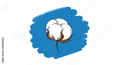 Simple yet elegant illustration of a hand-drawn white cotton boll set against a vibrant blue textured brush stroke background.