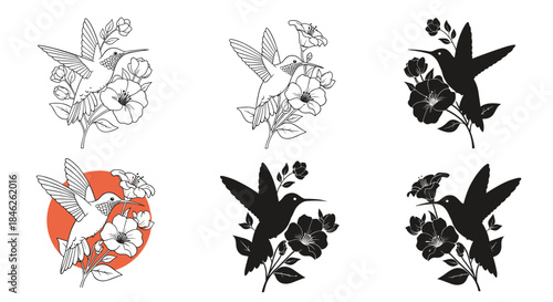 Collection of six hummingbird and flower illustrations, including detailed line art, black silhouettes, and one with a color accent.
