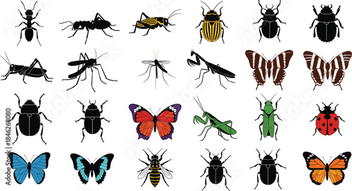 Large vector set of detailed insects and bugs including ant, grasshopper, mosquito, beetle, butterfly, ladybug, bee, and praying mantis silhouettes for nature, ecology, and science projects.