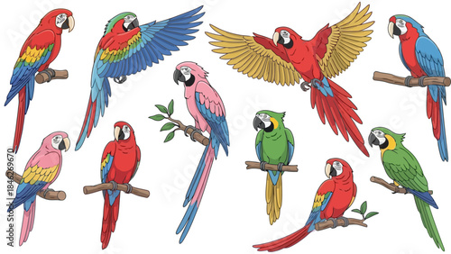 Collection of colorful parrots perched on branches, showcasing vibrant plumage and diverse poses.