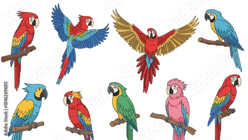A vibrant collection of ten different species of macaws perched on branches, showcasing their colorful plumage.