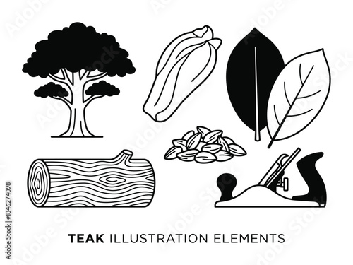 Teak Tree, Wood, Seeds, Leaves, and Plane Illustration Elements in Black and White Outline