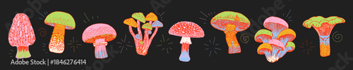 Colorful stylized mushrooms vector set in hand drawn textured style. Perfect for creating seamless patterns, t-shirt prints, stickers, packaging design, autumn banners, and social media graphics.