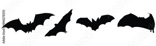 flying bats  silhouette vector illustration.