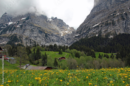 Konstfotografi Swiss Alpine mountain landscape and lush wildflower meadows on the way down the