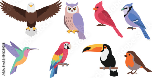 Variety of colorful birds on branches