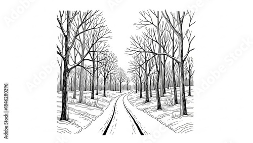 A black and white illustration of a snow covered road with trees on both sides in winter