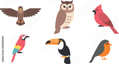 Variety of colorful birds