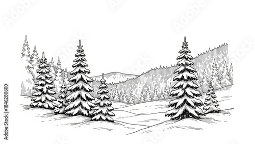 Black and white illustration of snow covered pine trees in a winter landscape scene with mountains