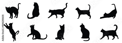 Cat silhouettes collection