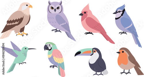 Colorful assortment of birds