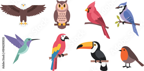 Assorted birds perched and flying