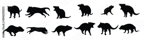 collection of silhouette illustrations of tasmania devil animal