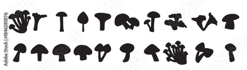 collection of silhouette illustrations of types of mushrooms 