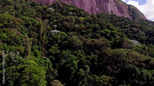 Beautiful Rio de Janeiro jungles Brazil