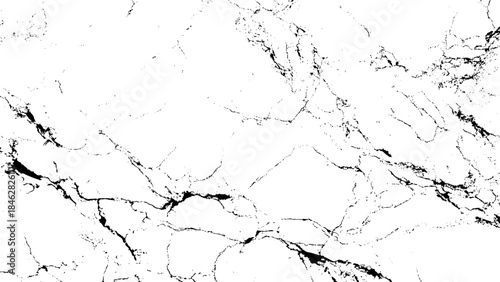 Black and white marble texture Vector, illustration