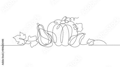 Elegant autumn pumpkins and gourds continuous line drawing on transparent background silhouette