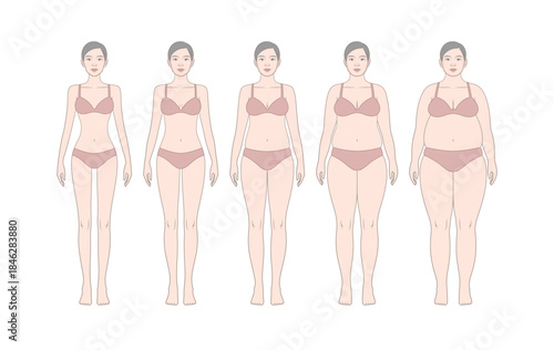 Female Body Weight Change Stages Illustration, Underweight to Obese Woman