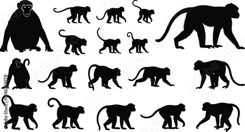 Collection of monkey silhouettes, primate animal figures, walking and sitting poses, wildlife illustration elements, jungle fauna icons for graphic design