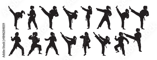  taekwondo girl silhouette white background
