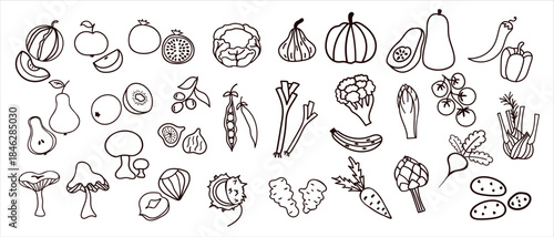Vector Set of hand drawn fruits and vegetables line art icons. Black outline food illustration set, perfect for healthy eating, organic market, packaging, and kitchen design.
