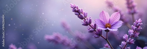 Grainy lavender and slate gray blend Subtle noise, harmonious tones , calming, overlay