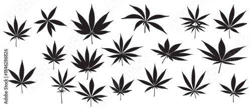 weed leaf silhouette white background