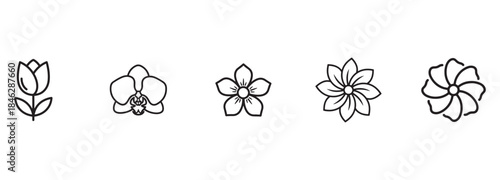 Set of 5 Outline Flower Icons: Tulip, Orchid, and Abstract Floral Symbols
