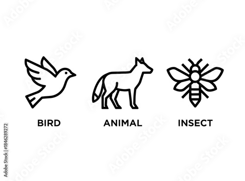 Animal Bird Insect Minimal Bold Line Icon Set
