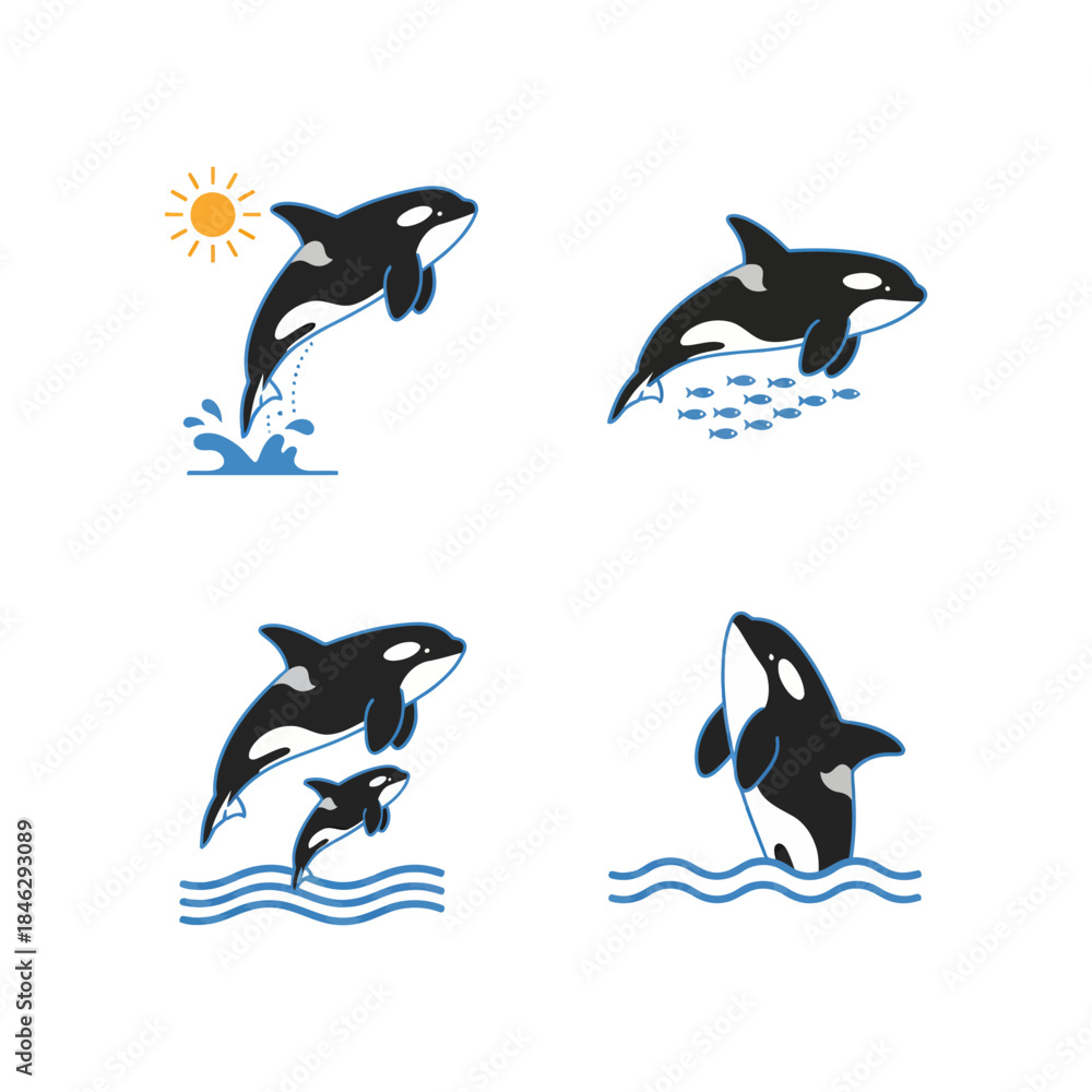 Fototapeta premium Majestic Orca Swimming Gracefully in the Ocean